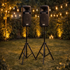 Dj speakers